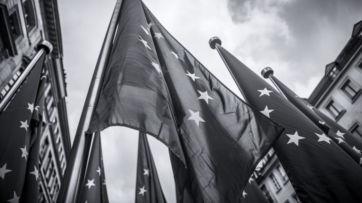 Black and white picture of European Union flags.